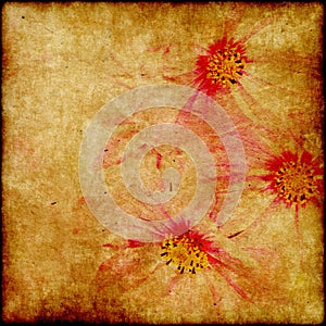 Grunge elegance flower paper