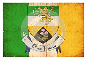 Grunge flag of Offaly Ireland photo