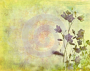 Grunge floral background