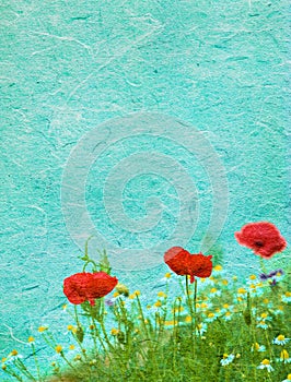 Grunge floral background with poppies