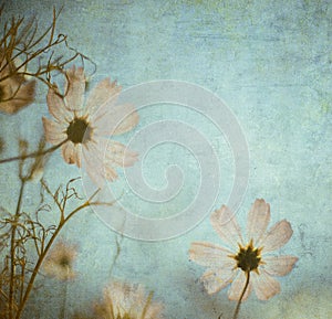 Grunge floral background with space for text or image