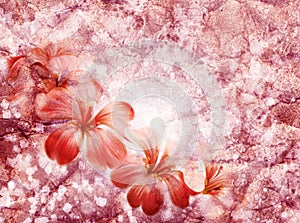 Grunge floral marsala background