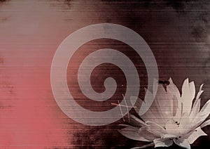Grunge flower