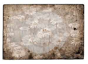 Grunge flower background