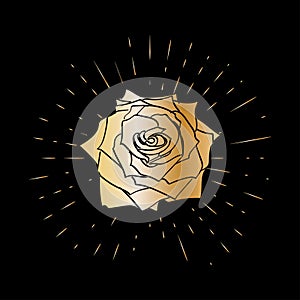 Grunge golden rose flower with burst on a black background