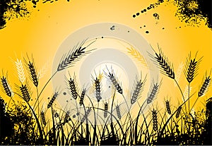 Grunge grass and ears, vector