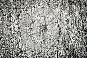 Grunge  gray cracked  concrete  wall texture background