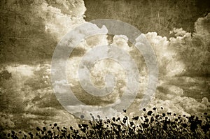 grunge image of cloudy sky and grass, perfect halloween background