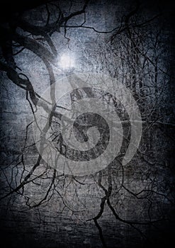 Grunge image of dark forest, halloween background