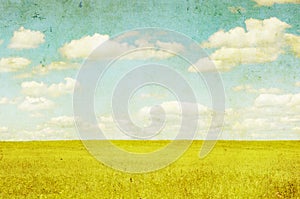 Grunge image of green field