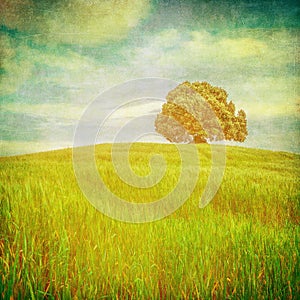 Grunge image of a tree over grunge background