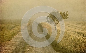 Grunge image of a tree over grunge background