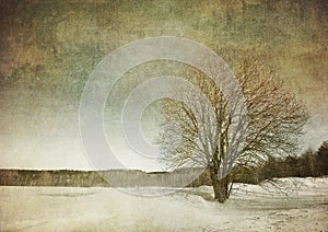 Grunge image of a tree over grunge background