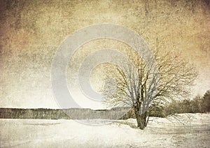 Grunge image of a tree over grunge background