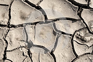 Grunge mud cracks texture