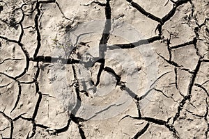 Grunge mud cracks texture