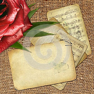 Grunge old papers for design with red rose