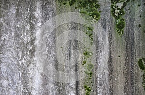 Grunge outdoor concrete or cement wall with green moss texture