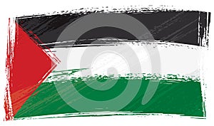 Grunge Palestine flag photo