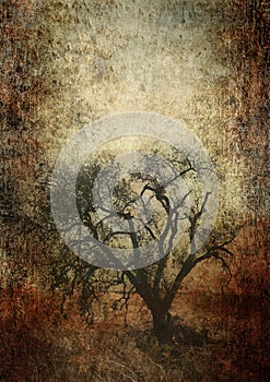 Grunge paper oak tree