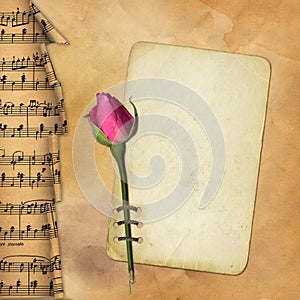 Grunge paper with rose on musical background