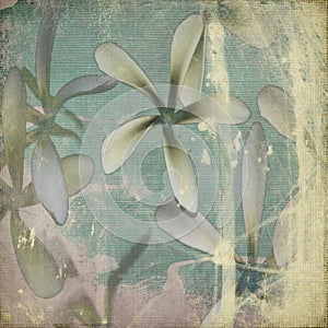 Grunge pastel flower background