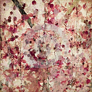 Grunge pink blossom bamboo antique background