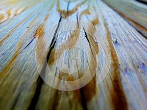 Grunge Plank wood texture perspective background