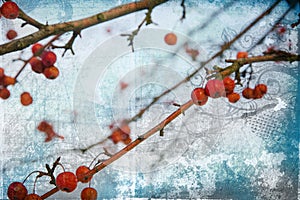 Grunge red berries on blue