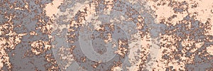 Grunge rusty metal background texture banner, with space