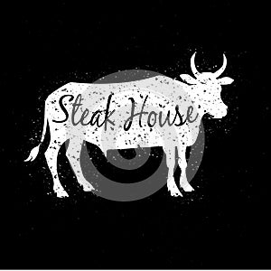 Grunge scratched white cow silhouette with text