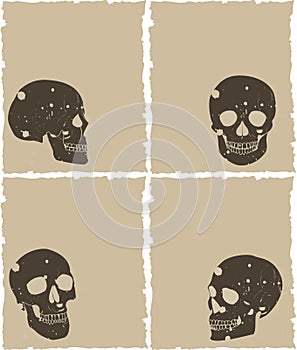 Grunge skull