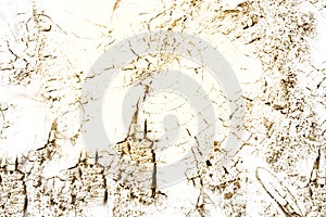 Grunge texture background, saw cut on old wood