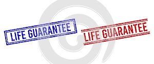 Grunge Textured LIFE GUARANTEE Seal with Double Lines