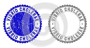 Grunge VIBRIO CHOLERAE Scratched Watermarks