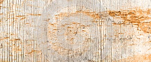 Grunge wall texture background. Paint cracking off dark wall with rust underneath