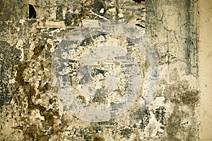 Grunge wall texture. High resolution vintage background