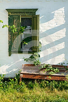 Grunge wall with wild grape leaves and bench