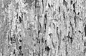 Grunge weathered wooden plank surface in black and white