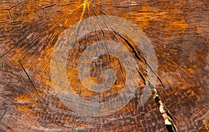 Grunge wood pattern texture