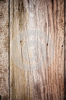 Grunge wood texture close up image