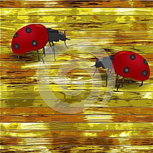 Grunge wooden background with ladybirds