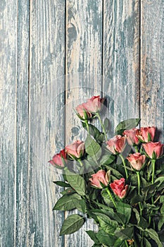 Grunge wooden background with pink roses bouqet photo