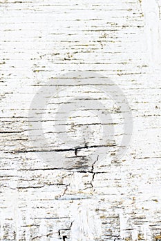 Grunge Wooden Texture Wall with White Paint is severely peeling Old Style Abstract Background