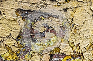 The grungiest grunge background with layers of deteriorated paint on concrete - colorful