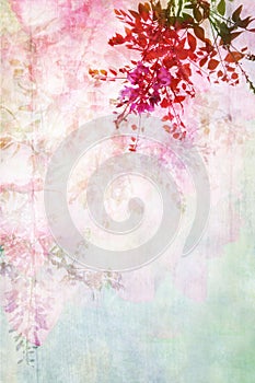 Grungy background with floral border