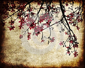 Grungy cherry blossoms