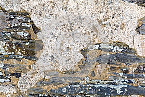 Grungy Decayed Stone Wall Texture