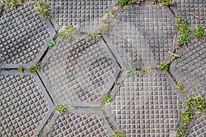 Grungy Hexagonal Tiled Seamless TGarden walkway made of hexagonal plates. Grass breaks through the slabs. Backgroundexture