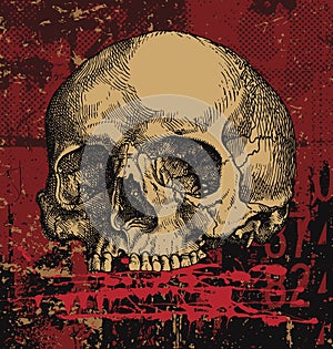 Grungy human skull